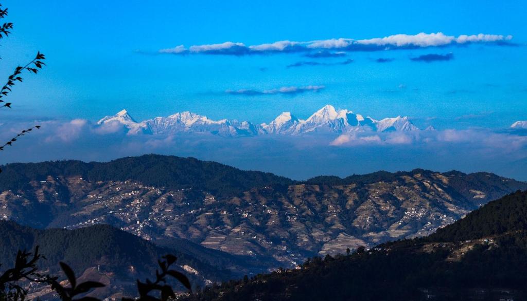 Dadaghare Homestay & View Point Restaurant photo 2