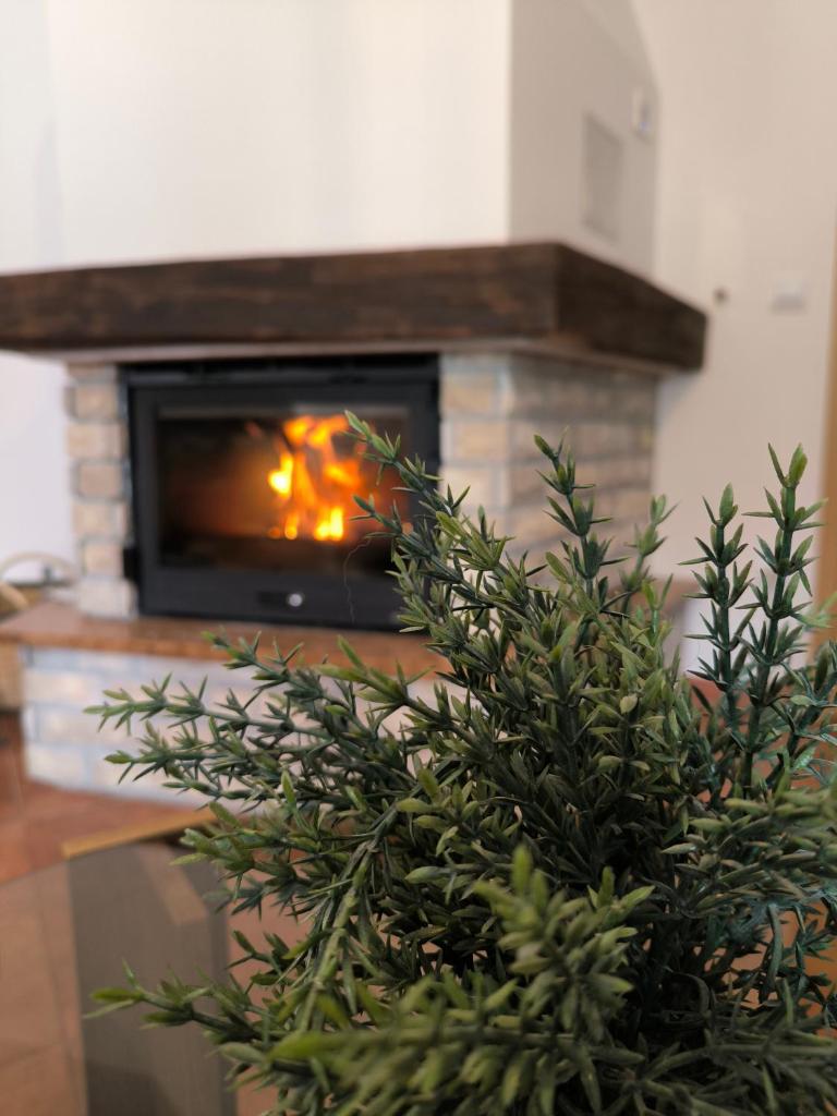 Holiday Home Tisa photo 3