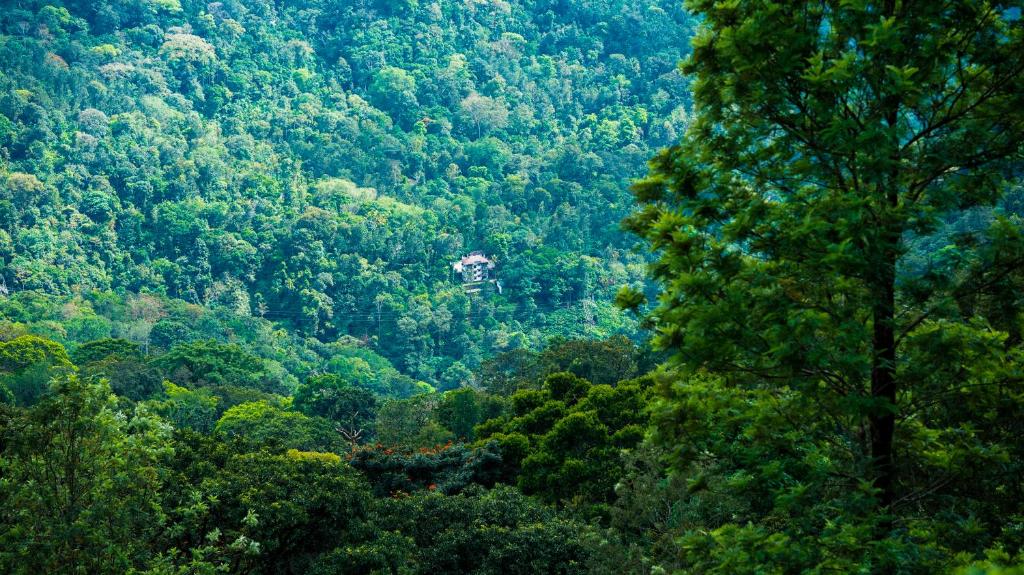 The Cascade Munnar photo 1