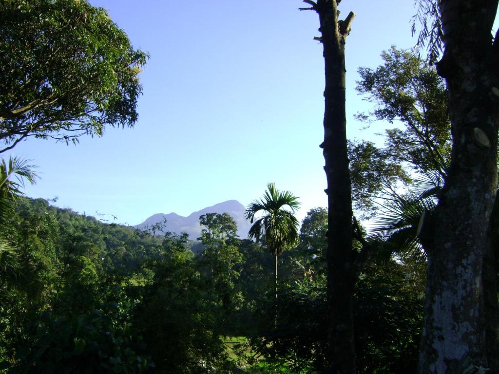 Landa Holiday House photo 4
