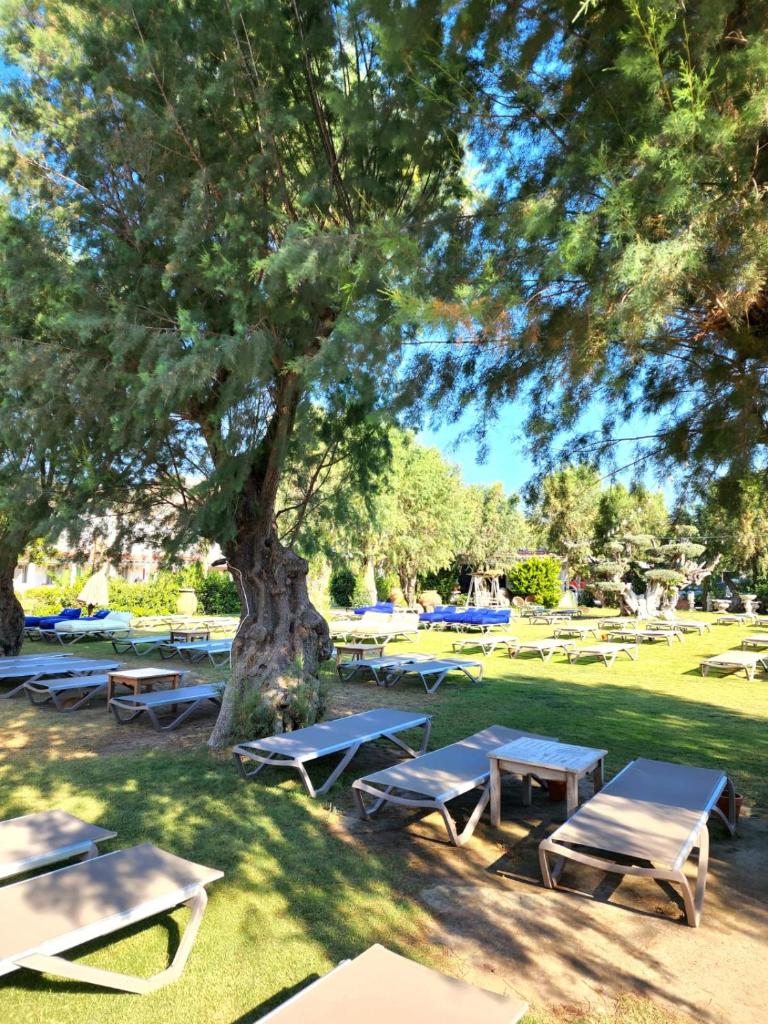 Kefi Beach & Suites photo 1