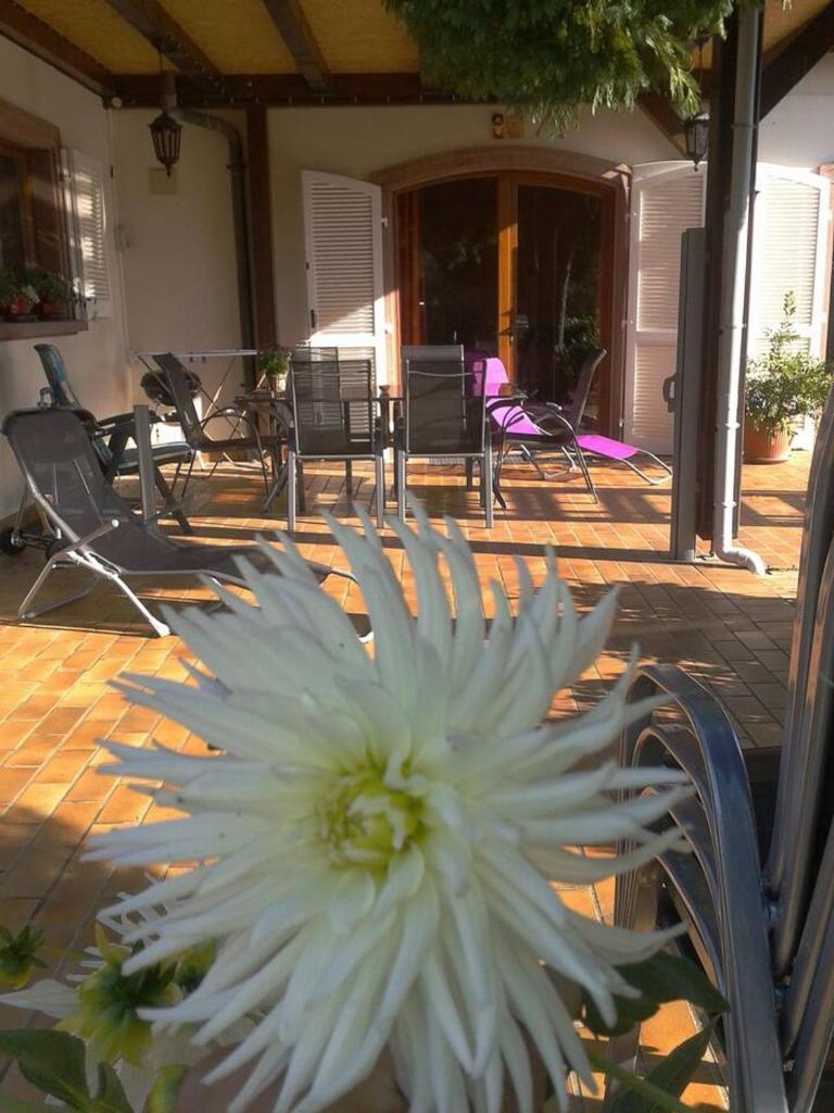 Appartement d'une chambre avec terrasse et wifi a Selestat photo 4