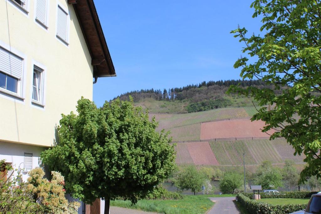 Ferienweingut Hansjosten photo 1