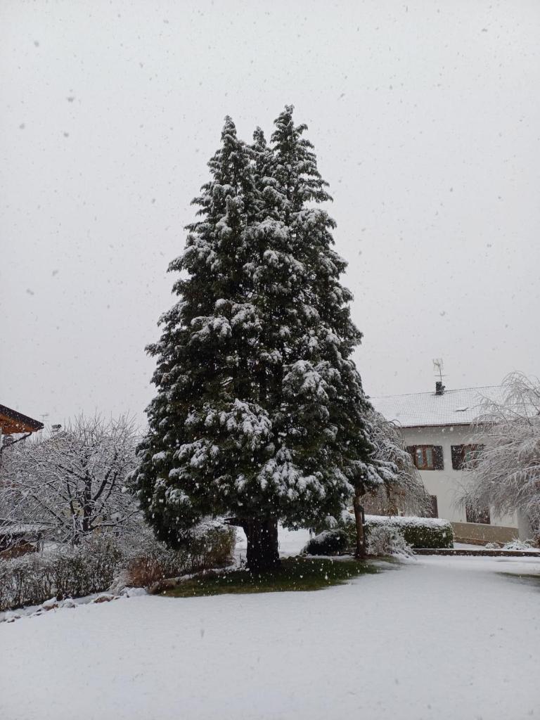 Appartamento Tenaglia photo 1
