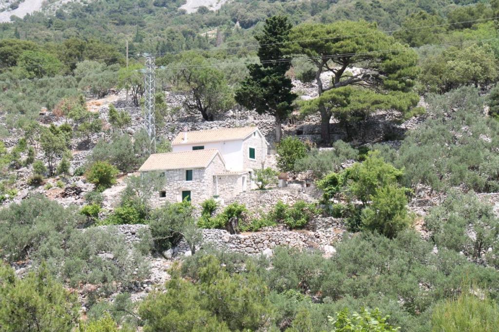 Holiday home Sweet Shelter with jacuzzi photo 1