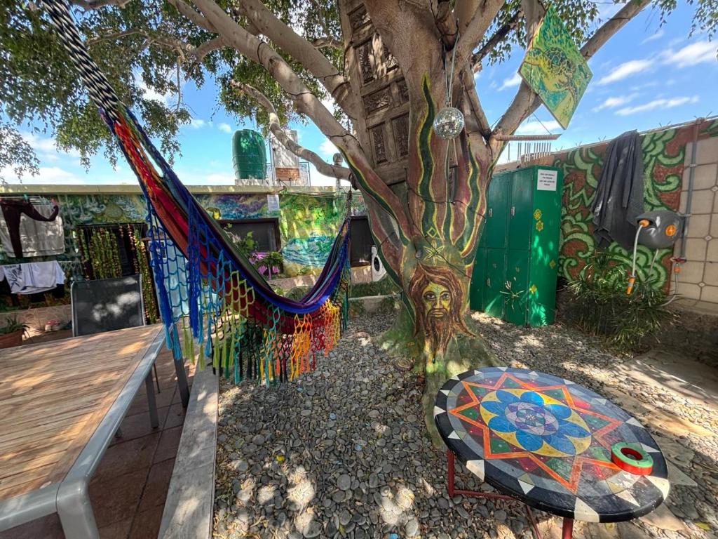 Hostel Los Duendes del Sur photo 1