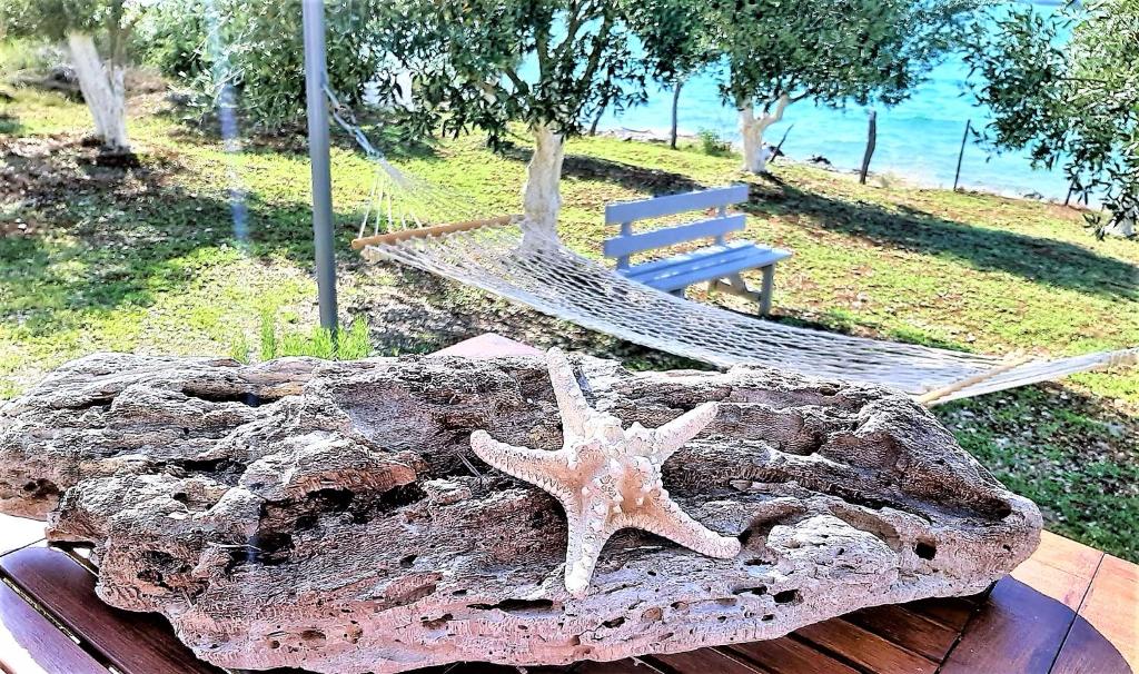 ARTE MARE d'Irene photo 4