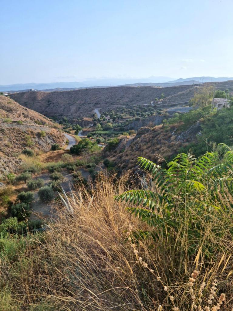 Cortijo naturista con vistas -Clothing optional photo 3