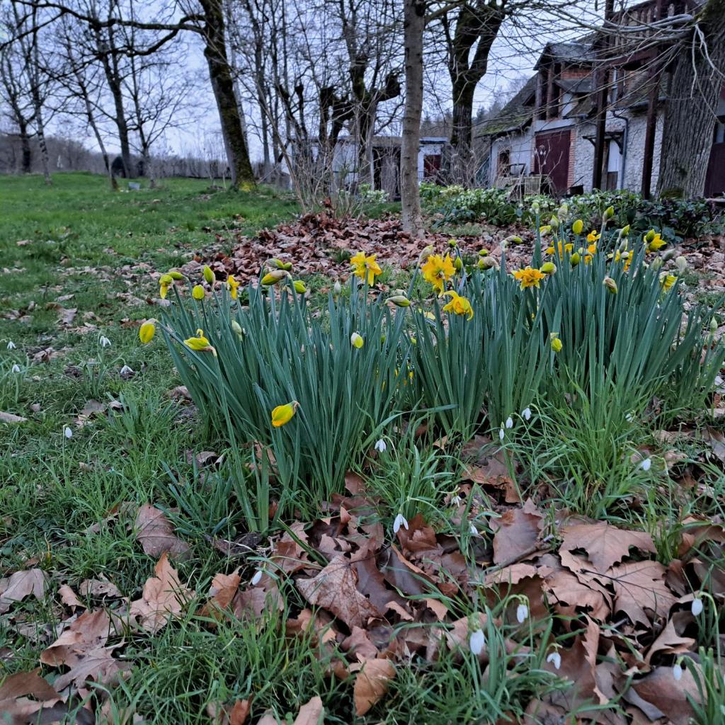 Gîte dans le parc d'une maison ancienne près des bords de Loire photo 1