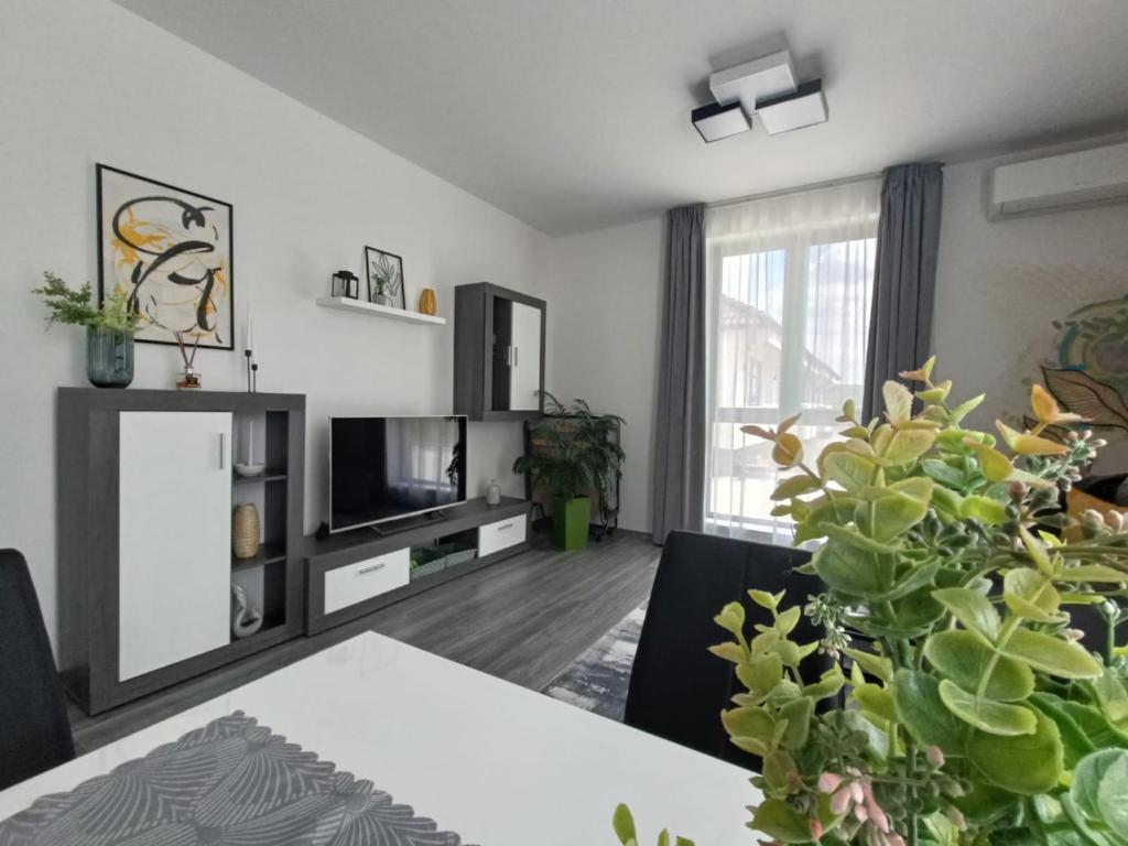 Apartament Maia Baile Felix photo 2