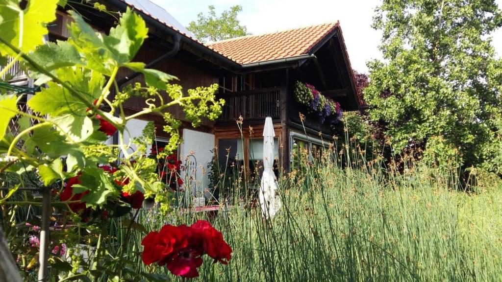 Chiemsee Refugium photo 2