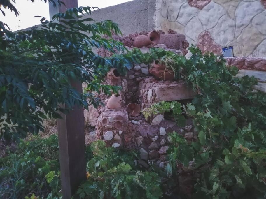 Breeze House photo 3