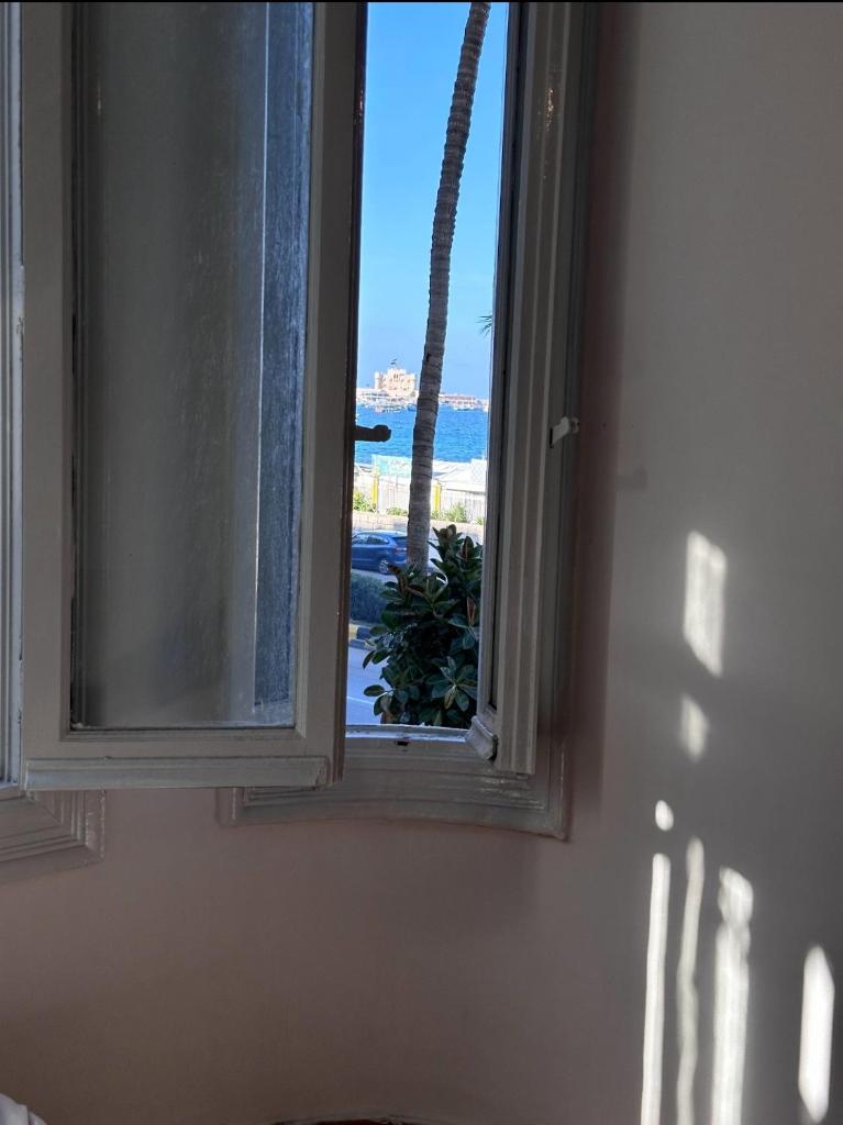 Alexandria a private room at Shared apartment For Men only No Ladies allowed غرفة خاصة في شقة مشتركة للرجال فقط ممنوع السيدات 仅限男士 photo 2