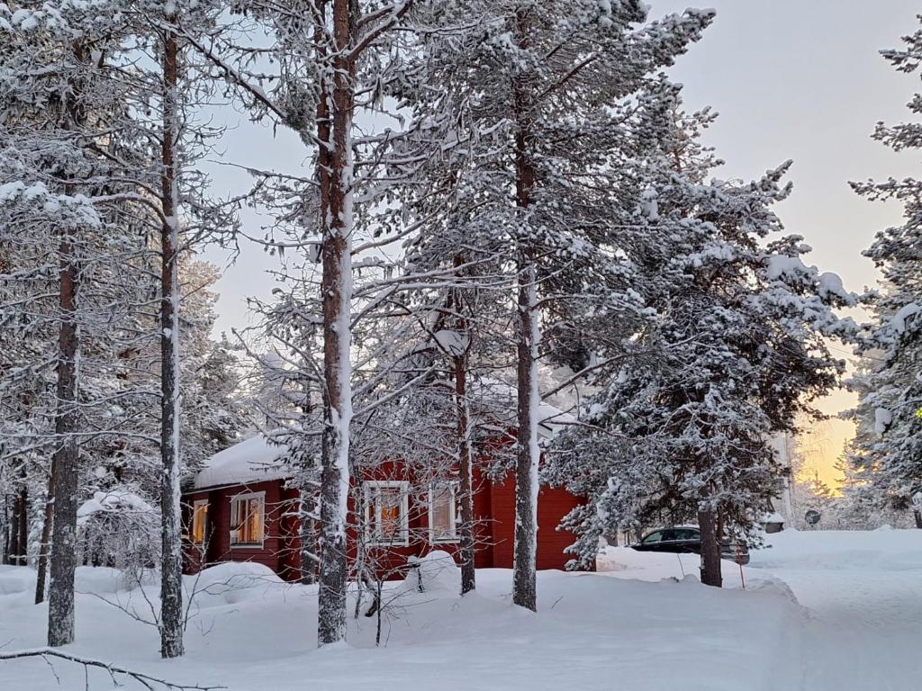 Holiday Home Samanitieva photo 3