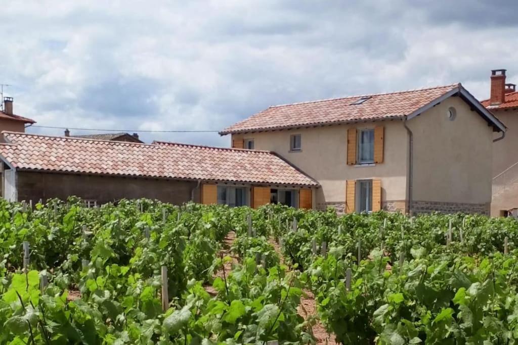 Maison entière au cœur des vignes du Clos des Bacchantes !