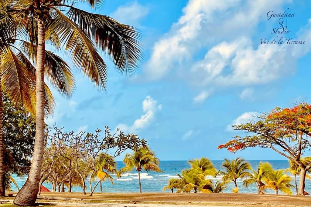 Acces direct Plage et Piscine, Vue Lagon et Cocoteraie, Les Gwada Studios, Village Vacances Ste Anne photo 4