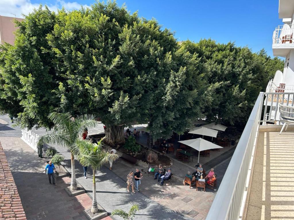VISTA PLAZA - Exceptional Location photo 1