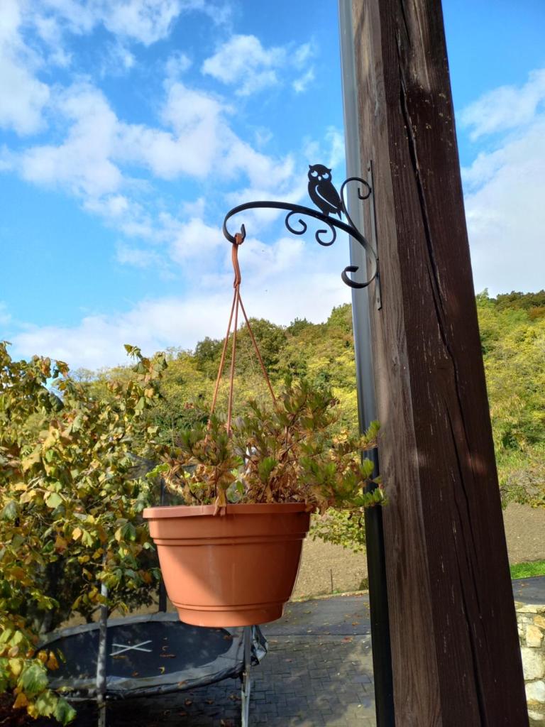 Apartman Potocki photo 1