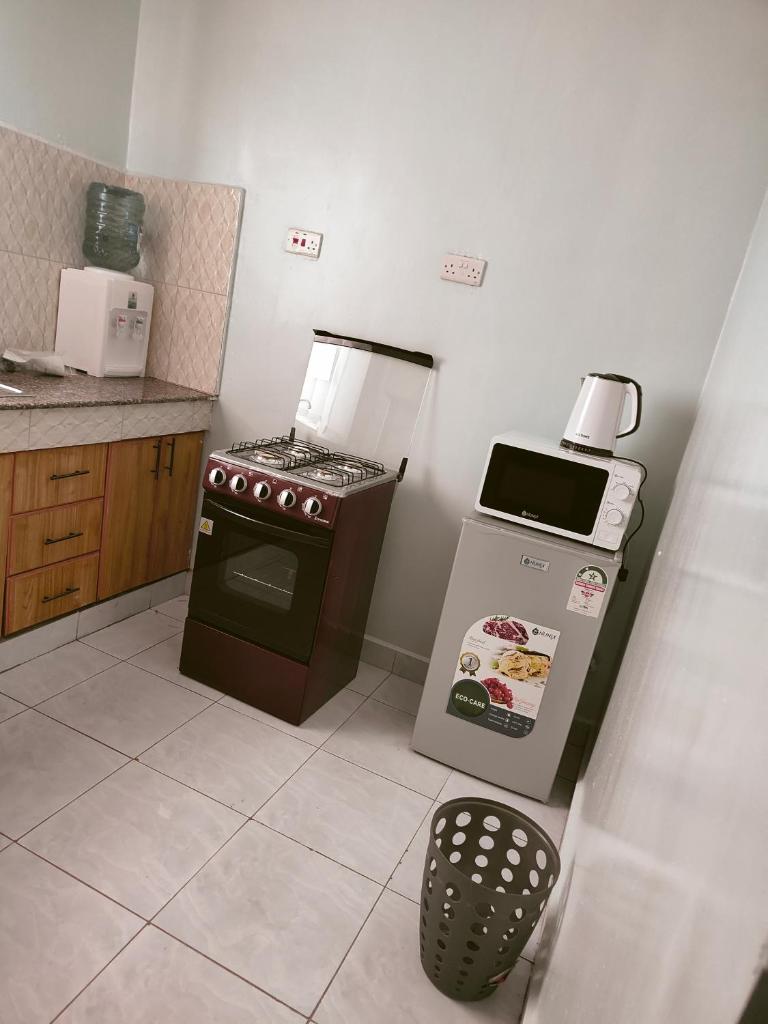 Springstone apartment Room 17 photo 4