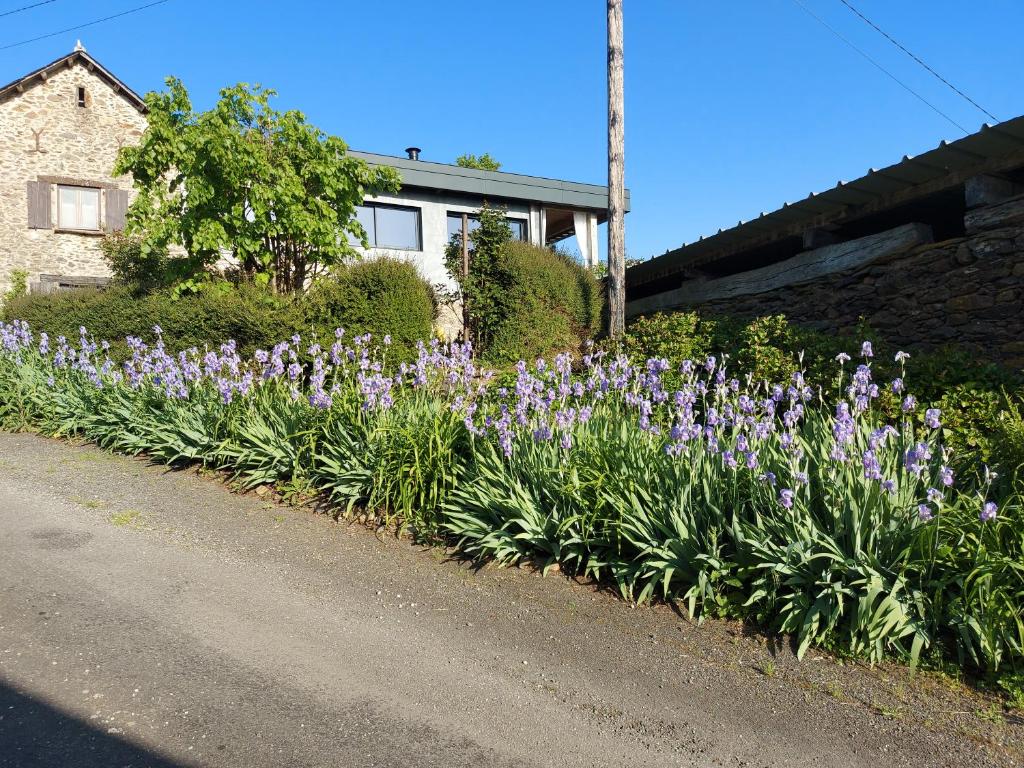 Louradou-sur-Ciel photo 2
