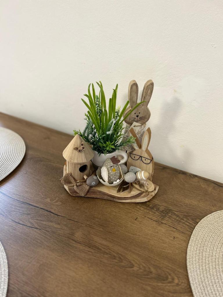 APARTMENT OWL photo 1