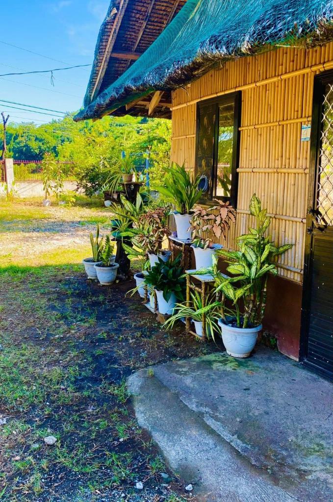 Casa de Flores photo 3