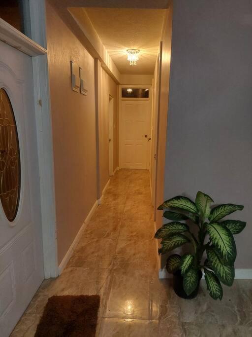 Hygge's Inn photo 3