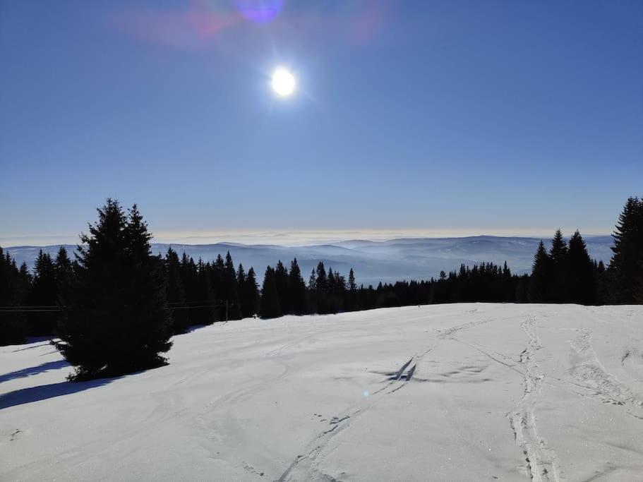Chata na Poľane photo 1