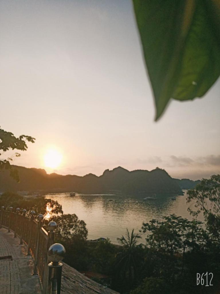 cat ba new city hostel
