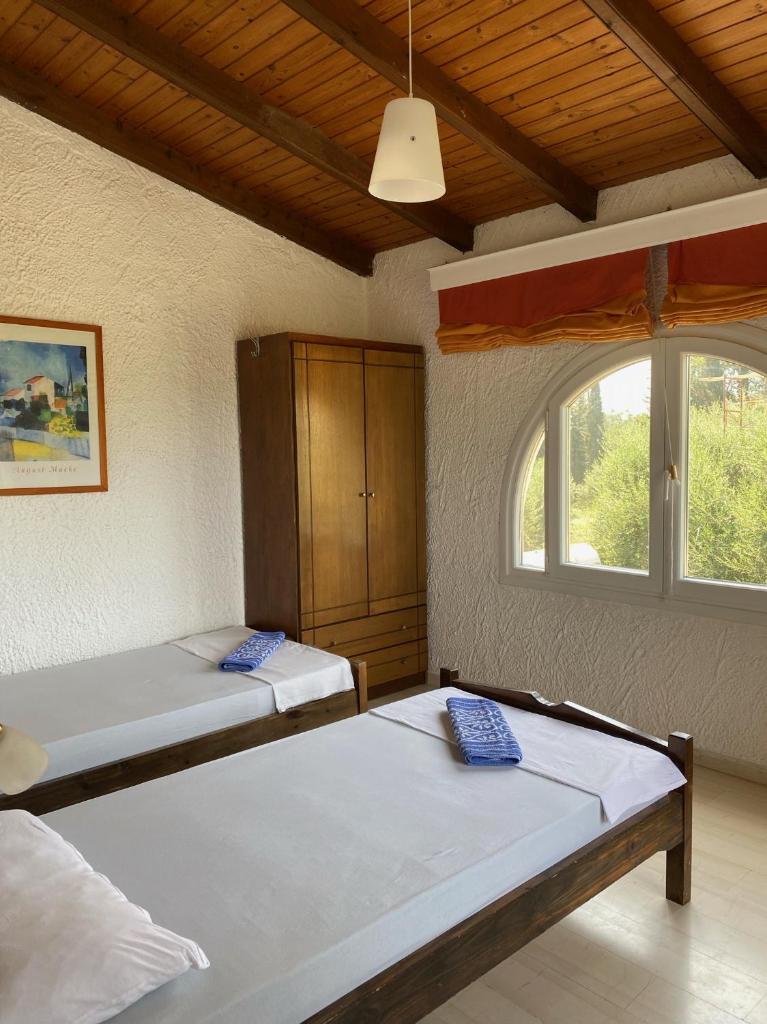 Villa Depis photo 4