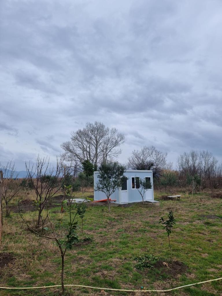 Camping & biofarm Gjegji photo 2