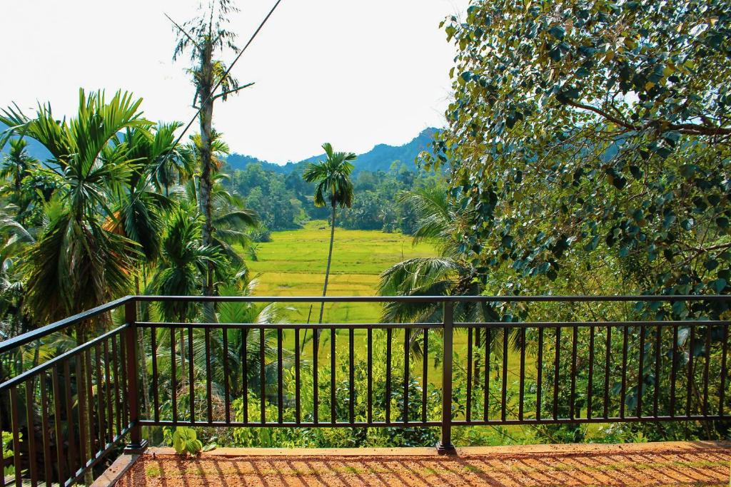 Rainforest Border Edge