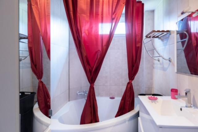 Appartement Fuychaa Proche de Lyon , Eurexpo , stadium , Aréna photo 1