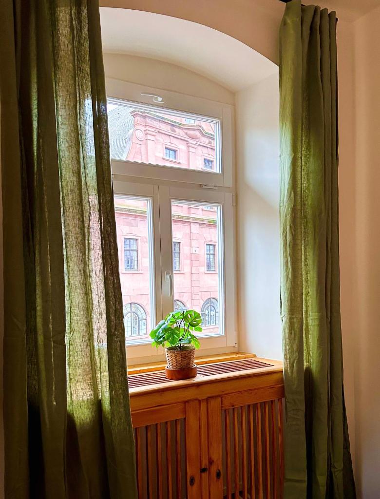 Grosse Wohnung in der Altstadt von Ettlingen photo 3