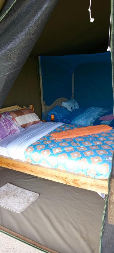 orkaria safari mara camp photo 2