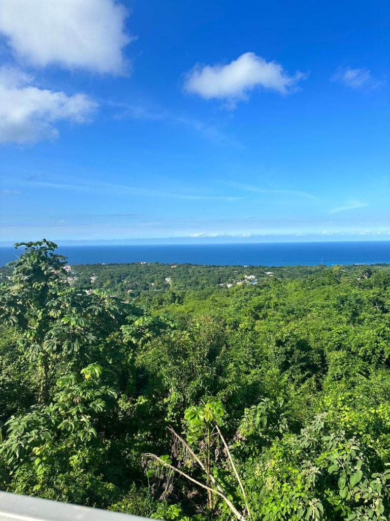 Mo's Tranquil Retreat Bliss n Jamaica