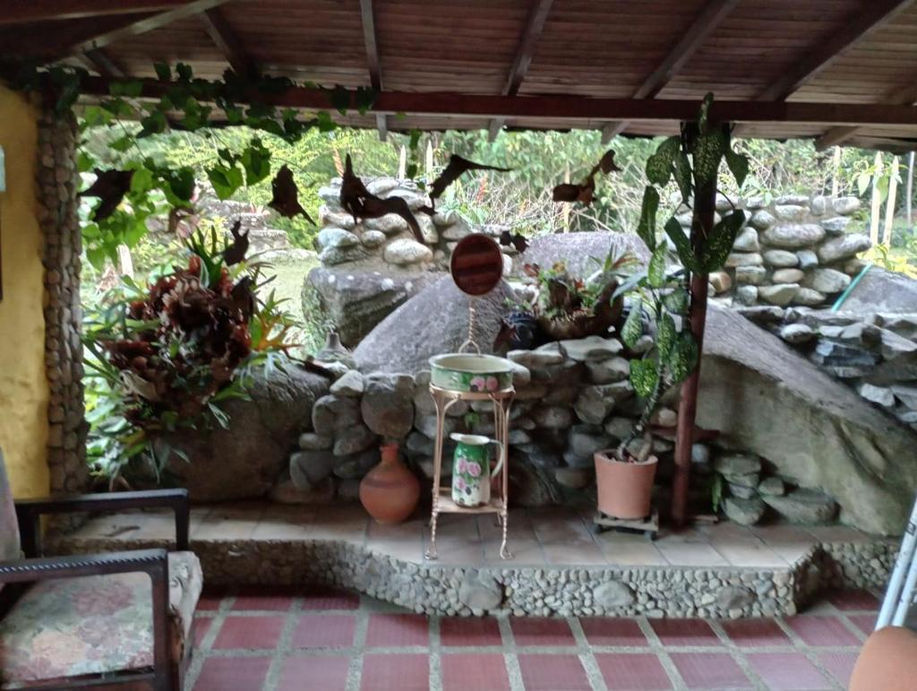 Naturilandia photo 1