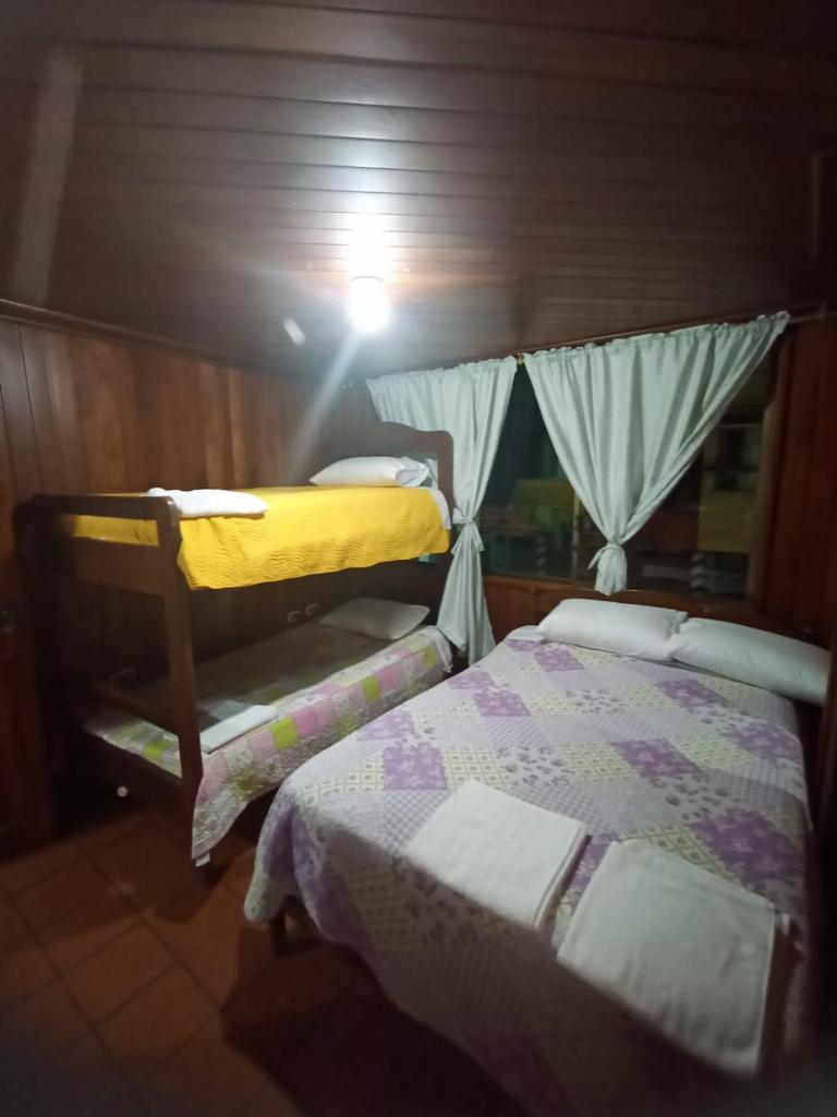 MI CASITA VERDE photo 3