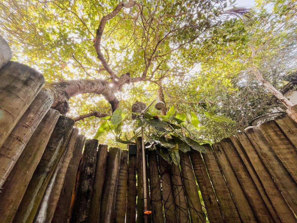 Pousada Zen Caraiva photo 4