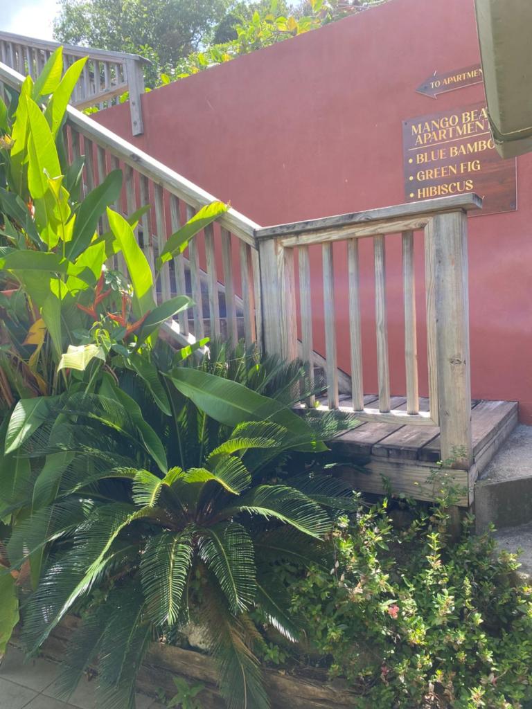 Blue Bamboo cottage Marigot Bay. photo 4