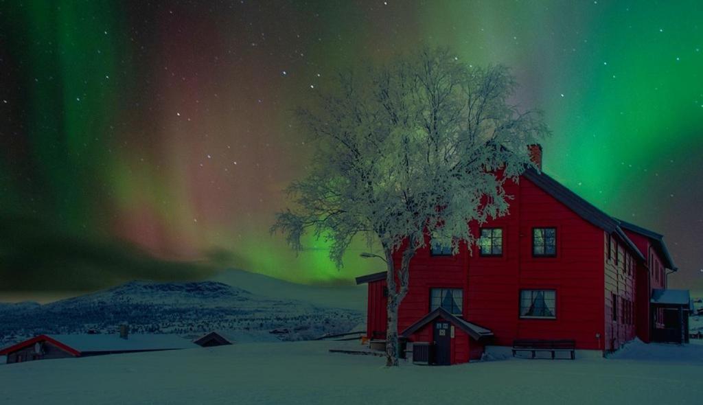 Rondane Haukliseter Fjellhotell photo 1