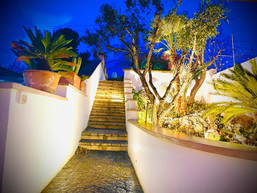 CASA AL MARE RIO b&n photo 4