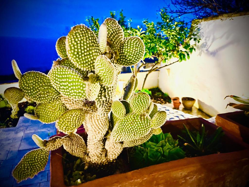CASA AL MARE RIO b&n photo 1