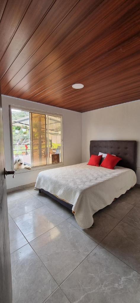 Casa de Huespedes - NaturaLove photo 4