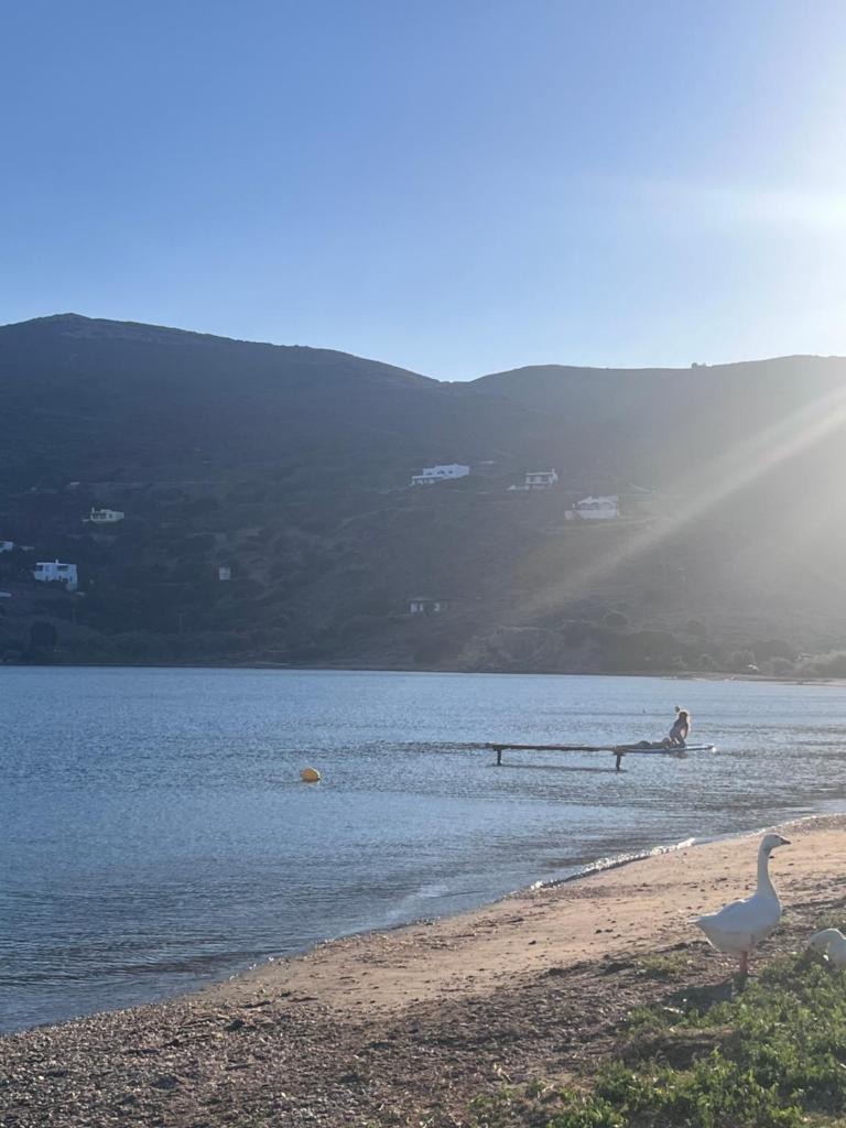 Sea Senses Andros - A Beachfront Retreat photo 4