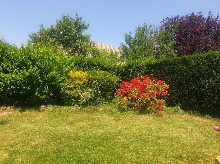 Maison avec jardin, entièrement rénovée photo 4