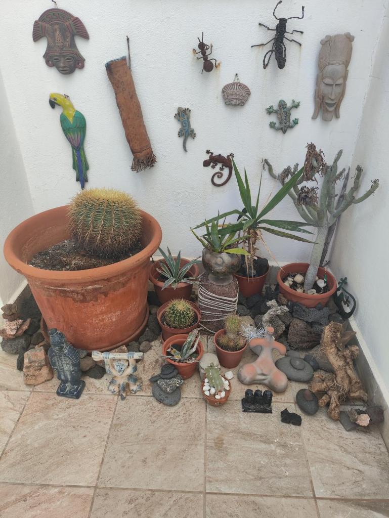 Love for Lanzarote holidays house photo 2