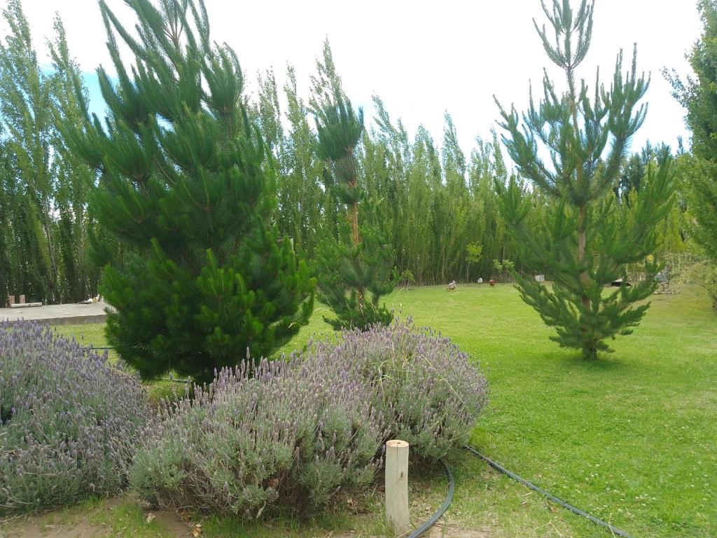 Ushua Aike (Nuestro Lugar) photo 3