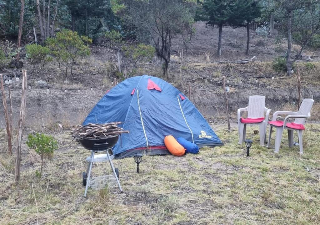 Zonas Camping NaturaLove photo 2