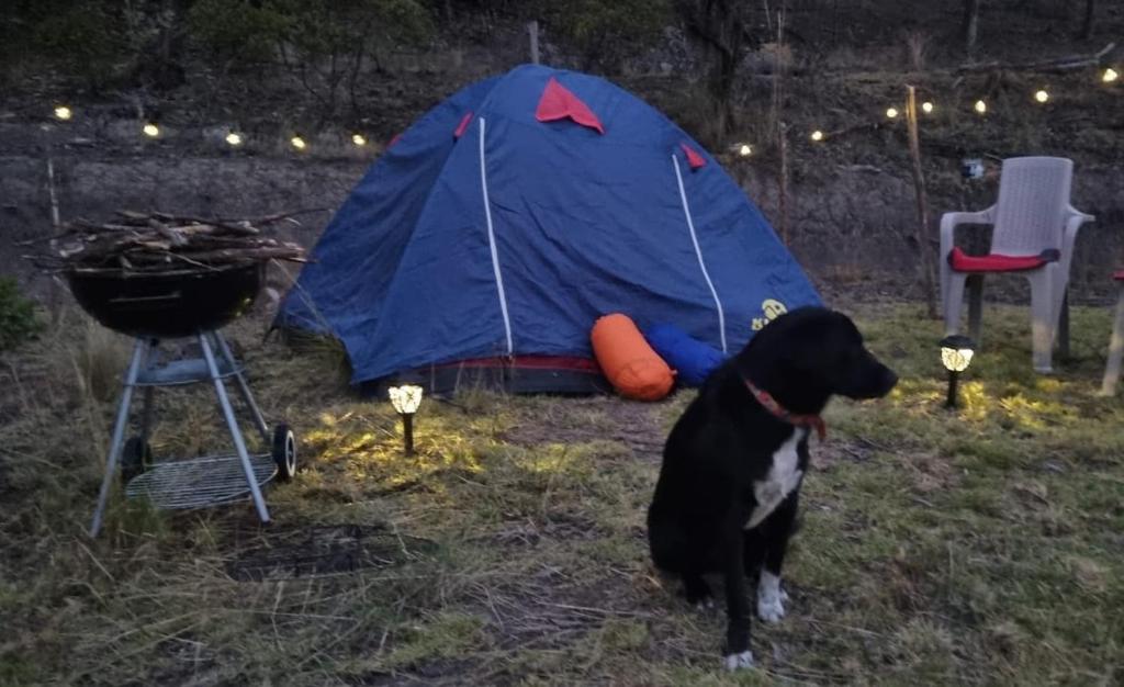 Zonas Camping NaturaLove photo 1